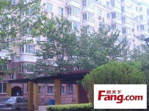 非你莫属南开最新爆料,精彩瞬间与幕后故事大揭秘